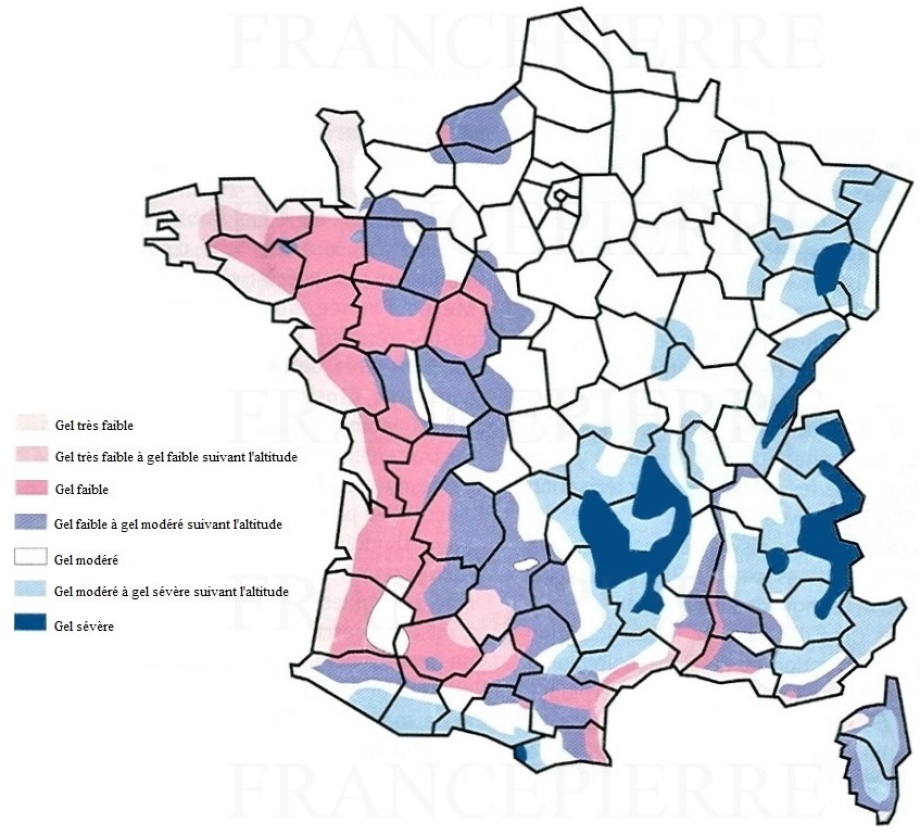 Carte de France des zones de gel pour dallage pierre naturelle