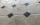 Carrelage décoratif effet vieilli et motif cabochon