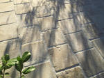 Pavé Antica © en pierre naturelle de France