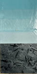 Quartzite indonésien manifestant ses variations chromatiques naturelles en environnement humide