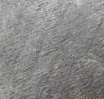 Carrelage immergé en quartzite tropical pour bassins bordelais