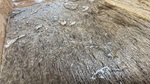 Surface naturelle sèche, grain volcanique préservé