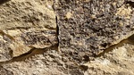 Parement mural à coller en pierre naturelle dorée avec face arrière sciée Provence