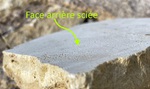 Parement mural à coller en pierre naturelle avec face arrière sciée